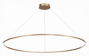 Подвесной светильник ST-Luce ST605 ST605.203.72 в Новом Уренгое - novyy-urengoy.mebel24.online | фото 3
