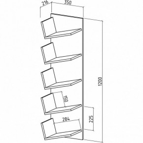 Полка навесная Чайка в Новом Уренгое - novyy-urengoy.mebel24.online | фото 2