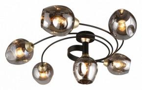 Потолочная люстра Aployt Flor APL.611.17.06 в Новом Уренгое - novyy-urengoy.mebel24.online | фото 13