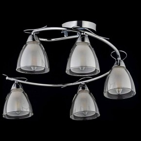 Потолочная люстра Arti Lampadari Paola, Tavenna Nickel Paola E 1.1.5 N в Новом Уренгое - novyy-urengoy.mebel24.online | фото 2