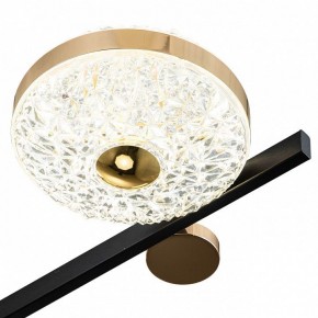 Потолочная люстра Escada Liberta 10219/6LED в Новом Уренгое - novyy-urengoy.mebel24.online | фото 6