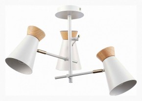 Потолочная люстра EVOLUCE Alfeo SLE1252-502-03 в Новом Уренгое - novyy-urengoy.mebel24.online | фото 2