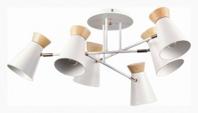 Потолочная люстра EVOLUCE Alfeo SLE1252-502-06 в Новом Уренгое - novyy-urengoy.mebel24.online | фото 2