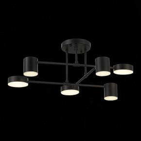 Потолочная люстра EVOLUCE Nobel SLE201042-06 в Новом Уренгое - novyy-urengoy.mebel24.online | фото 13