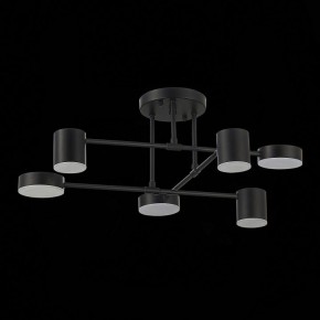 Потолочная люстра EVOLUCE Nobel SLE201042-06 в Новом Уренгое - novyy-urengoy.mebel24.online | фото 14