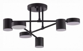Потолочная люстра EVOLUCE Nobel SLE201042-06 в Новом Уренгое - novyy-urengoy.mebel24.online | фото 3