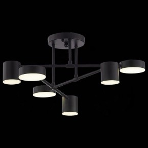 Потолочная люстра EVOLUCE Nobel SLE201042-06 в Новом Уренгое - novyy-urengoy.mebel24.online | фото 6