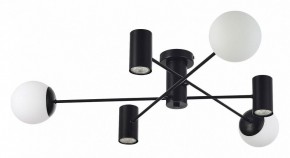 Потолочная люстра EVOLUCE Raito SLE1105-402-06 в Новом Уренгое - novyy-urengoy.mebel24.online | фото 2