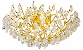 Потолочная люстра Favourite Pluvia 4162-10C в Новом Уренгое - novyy-urengoy.mebel24.online | фото 2