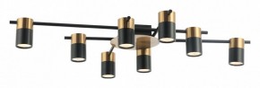 Потолочная люстра Favourite Topper 2825-8P в Новом Уренгое - novyy-urengoy.mebel24.online | фото 2