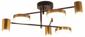 Потолочная люстра Kink Light Рапис 07645-6D,19(20) в Новом Уренгое - novyy-urengoy.mebel24.online | фото