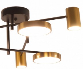 Потолочная люстра Kink Light Рапис 07645-6D,19(20) в Новом Уренгое - novyy-urengoy.mebel24.online | фото 2