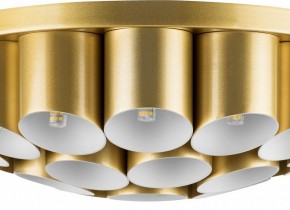 Потолочная люстра Lightstar Siena 720222 в Новом Уренгое - novyy-urengoy.mebel24.online | фото 3