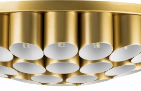 Потолочная люстра Lightstar Siena 720402 в Новом Уренгое - novyy-urengoy.mebel24.online | фото 3