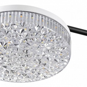 Потолочная люстра Lumion Didana 8236/4CL в Новом Уренгое - novyy-urengoy.mebel24.online | фото 10
