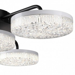 Потолочная люстра Lumion Didana 8236/4CL в Новом Уренгое - novyy-urengoy.mebel24.online | фото 7