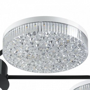 Потолочная люстра Lumion Didana 8236/7CL в Новом Уренгое - novyy-urengoy.mebel24.online | фото 9