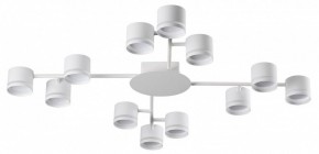 Потолочная люстра Lumion Gareta 8235/12C в Новом Уренгое - novyy-urengoy.mebel24.online | фото