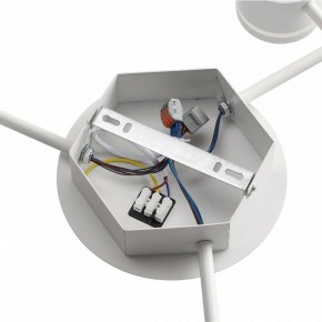Потолочная люстра Lumion Gareta 8235/9C в Новом Уренгое - novyy-urengoy.mebel24.online | фото 6
