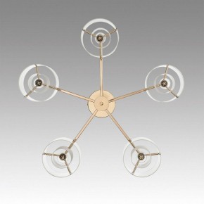 Потолочная люстра Lumion Verdi 6587/5C в Новом Уренгое - novyy-urengoy.mebel24.online | фото 4