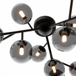 Потолочная люстра Maytoni Dallas MOD545CL-12B в Новом Уренгое - novyy-urengoy.mebel24.online | фото 3