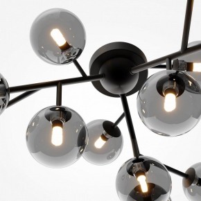 Потолочная люстра Maytoni Dallas MOD545CL-12B в Новом Уренгое - novyy-urengoy.mebel24.online | фото 4