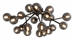 Потолочная люстра Maytoni Dallas MOD545CL-20B в Новом Уренгое - novyy-urengoy.mebel24.online | фото 2
