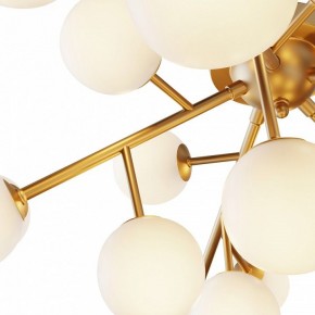 Потолочная люстра Maytoni Dallas MOD545CL-20BS в Новом Уренгое - novyy-urengoy.mebel24.online | фото 2