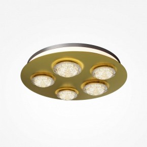 Потолочная люстра Maytoni Pharao MOD361CL-L58BS3K в Новом Уренгое - novyy-urengoy.mebel24.online | фото