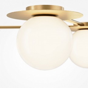 Потолочная люстра Maytoni Star sky MOD291CL-04BS в Новом Уренгое - novyy-urengoy.mebel24.online | фото 3