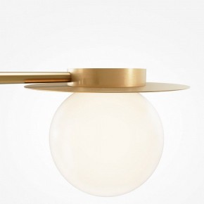 Потолочная люстра Maytoni Star sky MOD291CL-04BS в Новом Уренгое - novyy-urengoy.mebel24.online | фото 5