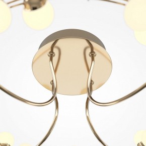 Потолочная люстра Maytoni Tessara MOD081CL-L36G3K в Новом Уренгое - novyy-urengoy.mebel24.online | фото 4