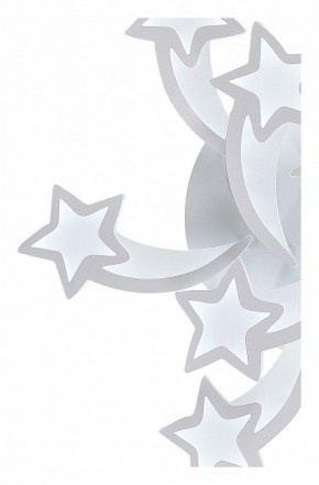 Потолочная люстра Natali Kovaltseva LED LAMPS LED LAMPS 81225 в Новом Уренгое - novyy-urengoy.mebel24.online | фото 6