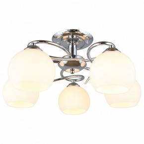 Потолочная люстра Omnilux Casoria OML-25107-05 в Новом Уренгое - novyy-urengoy.mebel24.online | фото 2