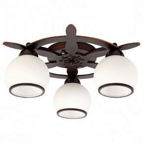 Потолочная люстра Omnilux Fronteira OML-50507-03 в Новом Уренгое - novyy-urengoy.mebel24.online | фото
