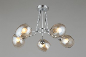 Потолочная люстра Omnilux Tesero OML-27307-05 в Новом Уренгое - novyy-urengoy.mebel24.online | фото 3