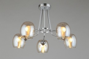 Потолочная люстра Omnilux Tesero OML-27307-05 в Новом Уренгое - novyy-urengoy.mebel24.online | фото 6