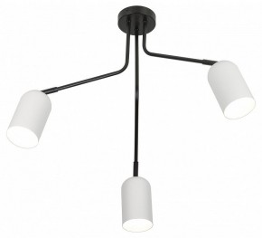 Потолочная люстра Rivoli Rosalinda Б0064987 в Новом Уренгое - novyy-urengoy.mebel24.online | фото 4