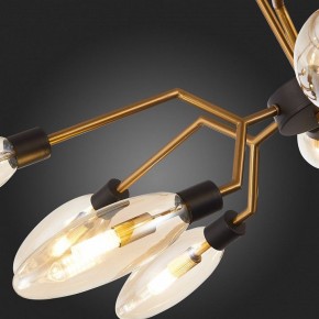 Потолочная люстра ST-Luce Desima SL1174.303.12 в Новом Уренгое - novyy-urengoy.mebel24.online | фото 10
