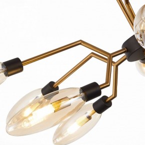 Потолочная люстра ST-Luce Desima SL1174.303.12 в Новом Уренгое - novyy-urengoy.mebel24.online | фото 11
