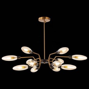 Потолочная люстра ST-Luce Desima SL1174.303.12 в Новом Уренгое - novyy-urengoy.mebel24.online | фото 2