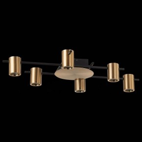 Потолочная люстра ST-Luce Veroli SL1207.402.06 в Новом Уренгое - novyy-urengoy.mebel24.online | фото 2