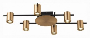 Потолочная люстра ST-Luce Veroli SL1207.402.06 в Новом Уренгое - novyy-urengoy.mebel24.online | фото 3