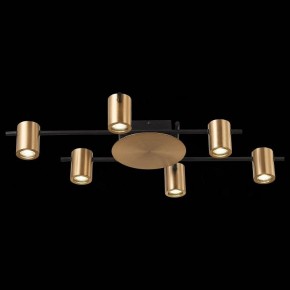 Потолочная люстра ST-Luce Veroli SL1207.402.06 в Новом Уренгое - novyy-urengoy.mebel24.online | фото 5