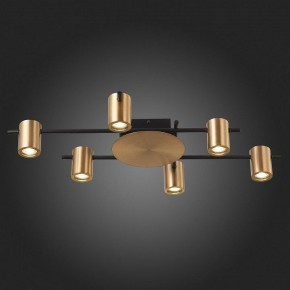 Потолочная люстра ST-Luce Veroli SL1207.402.06 в Новом Уренгое - novyy-urengoy.mebel24.online | фото 6