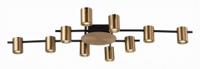 Потолочная люстра ST-Luce Veroli SL1207.402.10 в Новом Уренгое - novyy-urengoy.mebel24.online | фото 2