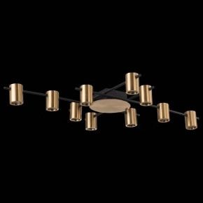 Потолочная люстра ST-Luce Veroli SL1207.402.10 в Новом Уренгое - novyy-urengoy.mebel24.online | фото 3
