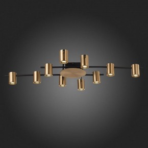 Потолочная люстра ST-Luce Veroli SL1207.402.10 в Новом Уренгое - novyy-urengoy.mebel24.online | фото 6