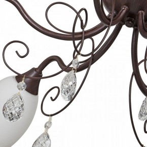 Потолочная люстра Vitaluce V1472 V1472/6PL в Новом Уренгое - novyy-urengoy.mebel24.online | фото 3