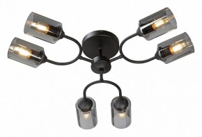 Потолочная люстра Vitaluce V2823 V2823-1/6PL в Новом Уренгое - novyy-urengoy.mebel24.online | фото 2